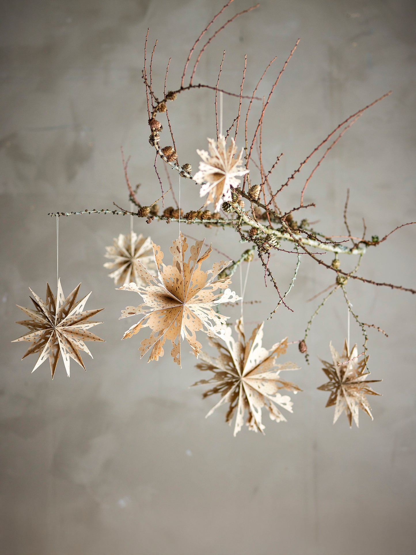 Star Ornament 6pk Jul Bloomingville